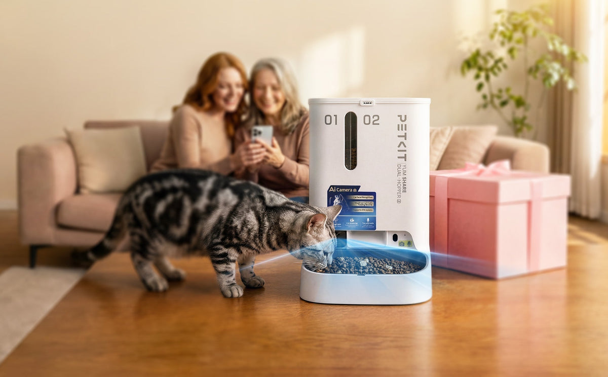 YumShare Dual-Hopper 2 automatic cat feeder dispensing scheduled meals and monitoring cats’ eating habits with AI camera tracking at home