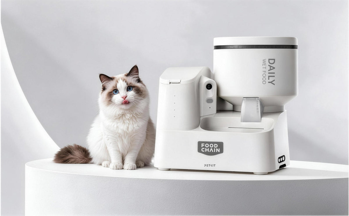 PETKIT Yumshare Daily Feast AI-powered automatic wet food feeder designed for absolute freshness