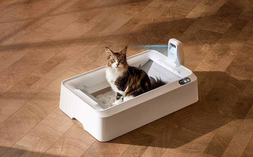 Meet PUROBOT Crystal Duo: Open‑Top AI Litter Box for Early Cat Meet PUROBOT Crystal Duo: Open‑Top AI Litter Box for Early Cat