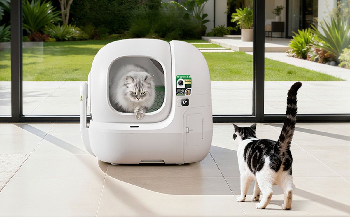 Cat pooping outside the litter box and how a self cleaning litter box can help maintain a cleaner litter box environment