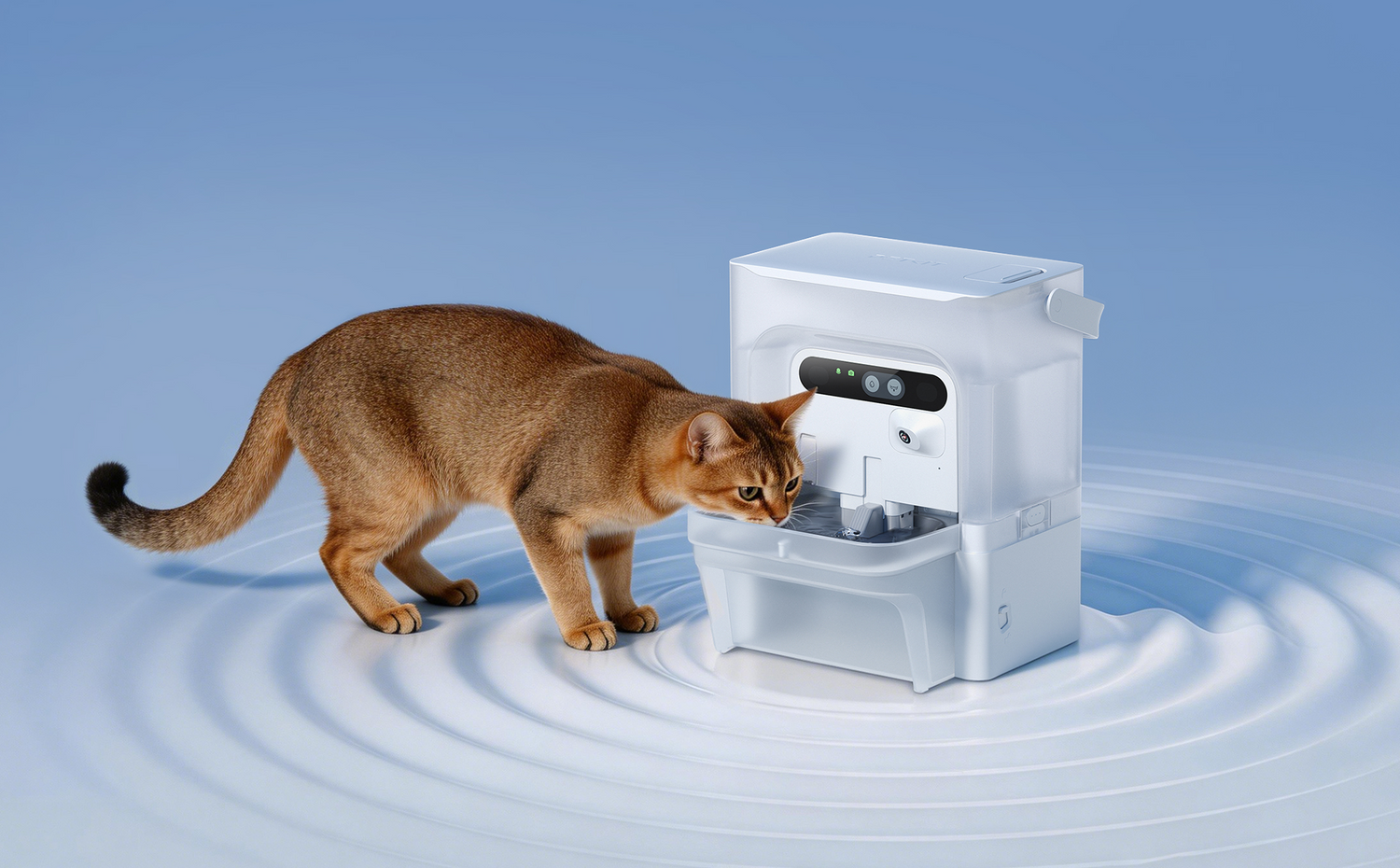 A cat drinking from PETKIT EverSweet Ultra water fountain, featuring stainless steel tray and One Way Mechanism to help prevent feline chin acne