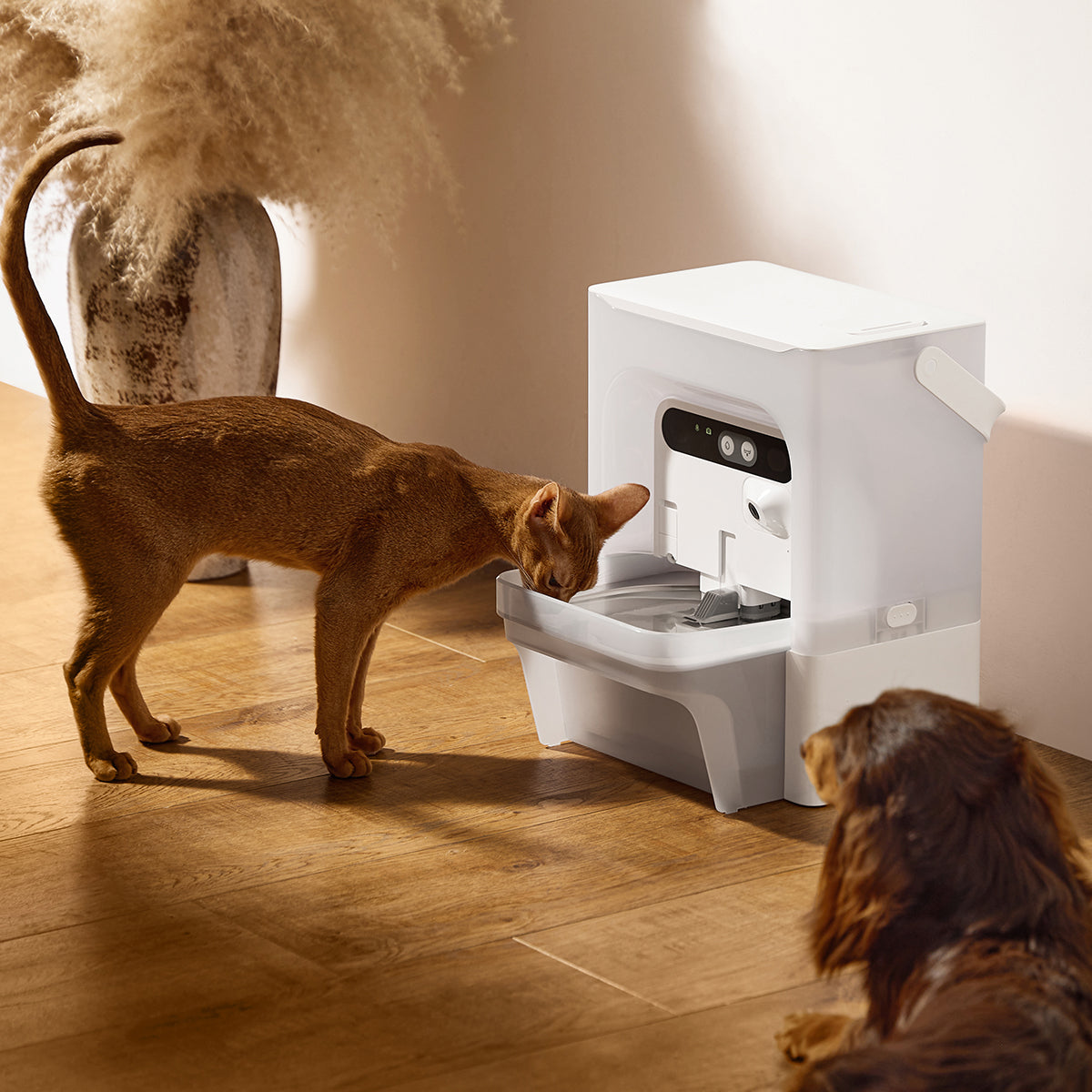 A cat and a dog using the EverSweet Ultra with AI Camera Pet Water Fountain.