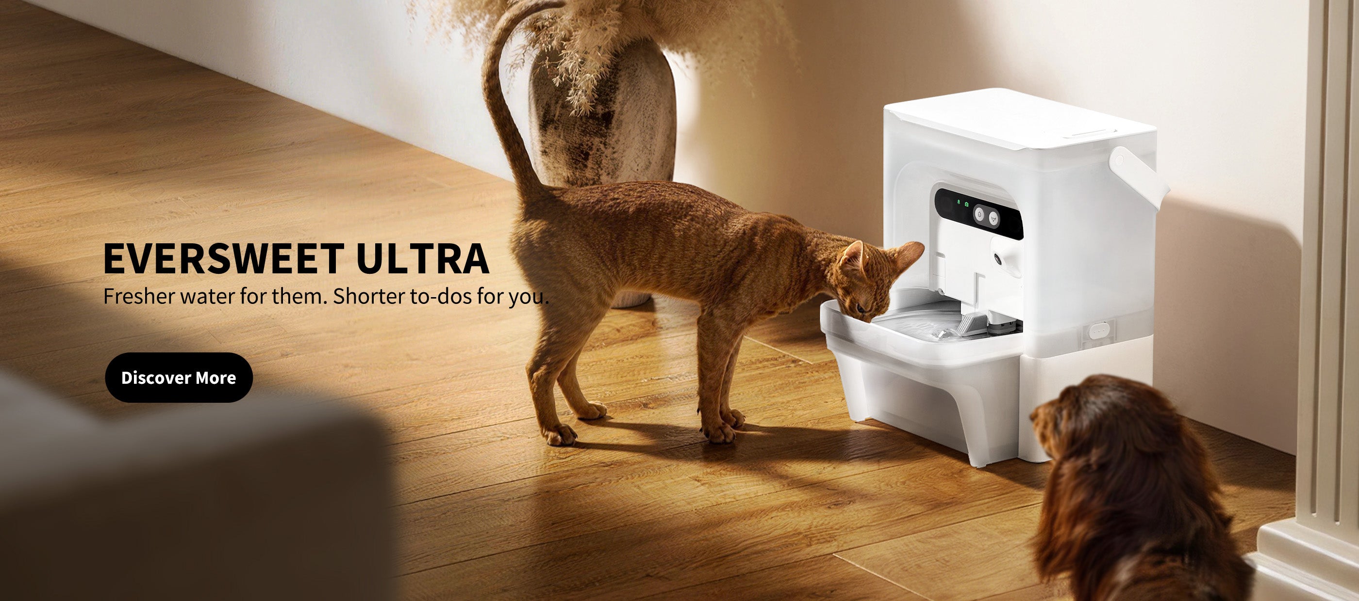Cat drinking from a white Eversweet Ultra pet water fountain on a wooden floor.