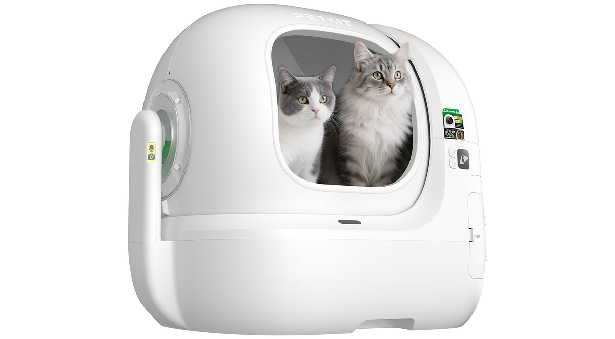 A white automatic cat litter box with two long-haired gray and white cats sitting inside, shown against a solid white background.