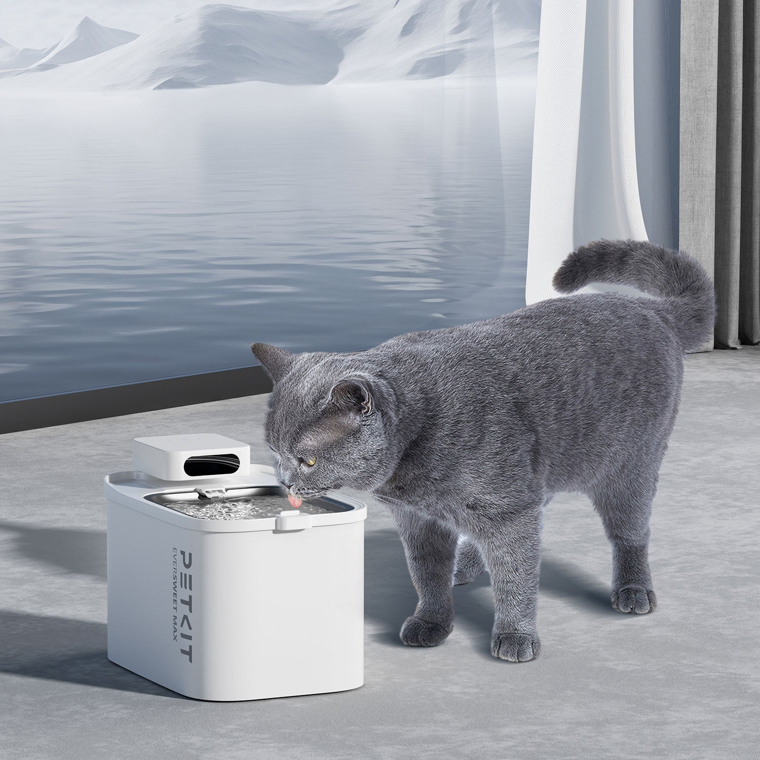 Cat drinking from an EverSweet Max pet water fountain equipped with Filter Unit RECT replacement filter