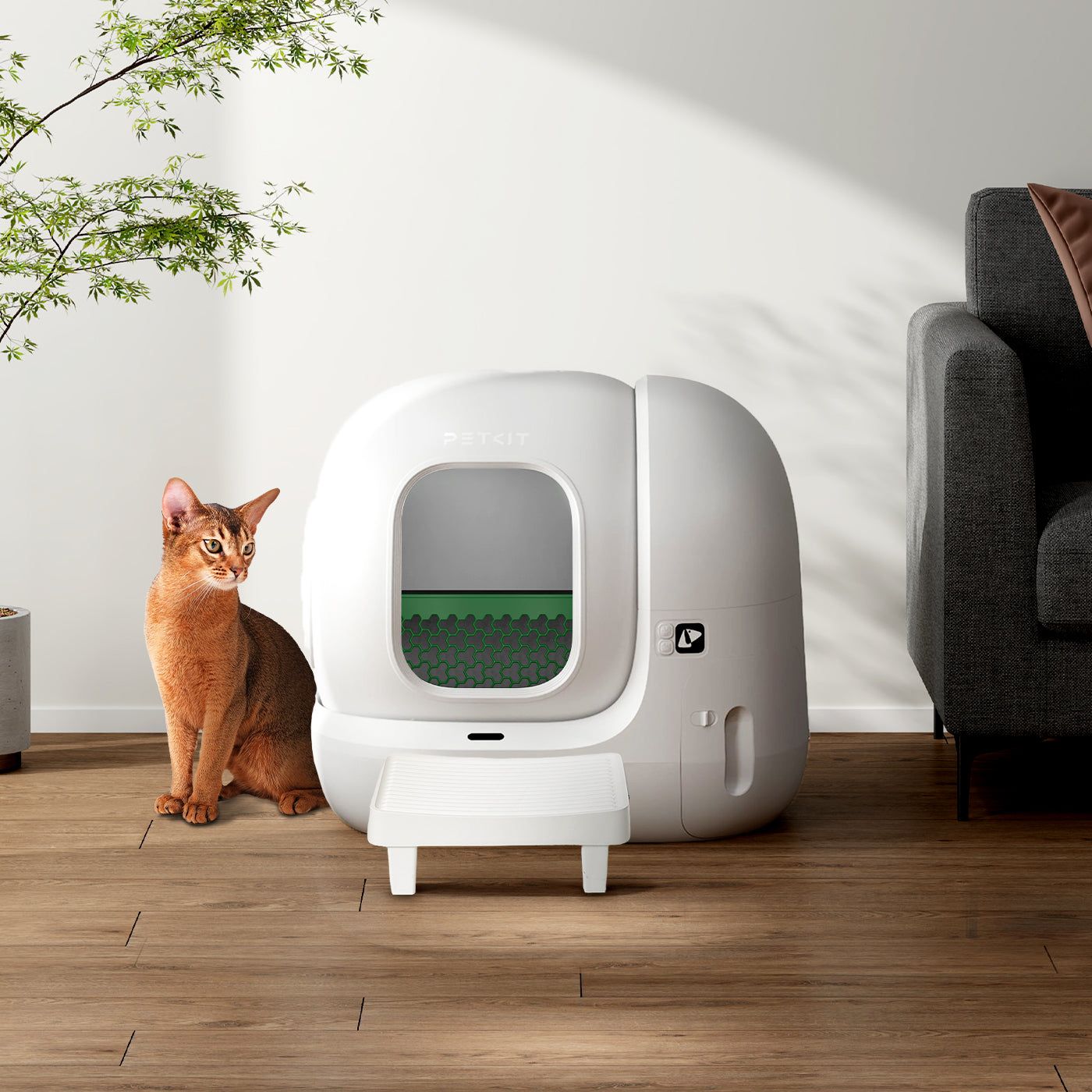 Easy-Step Pedal compatible with PuraMax 2 Automatic Litter Box, providing safe and easy entry for cats