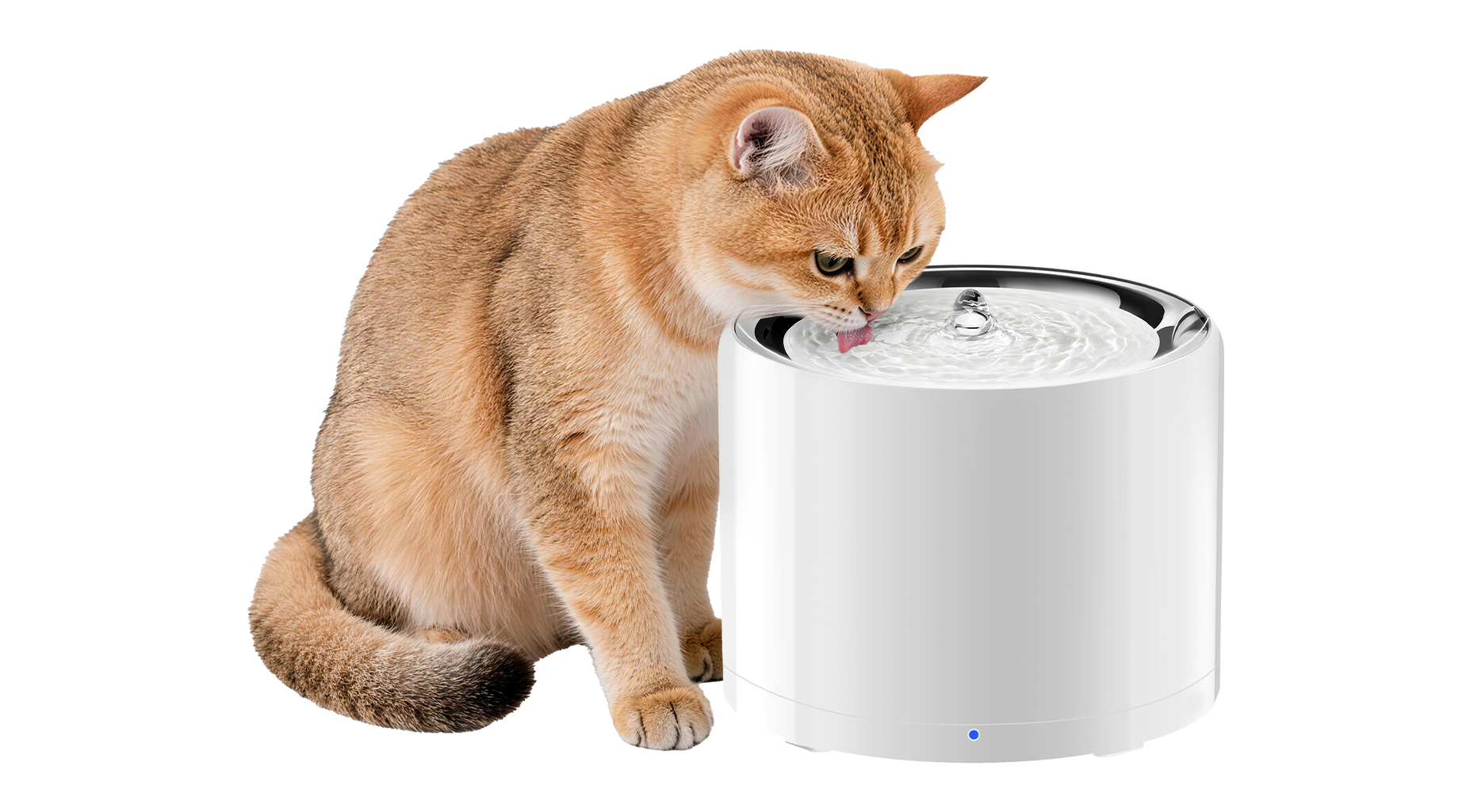 eversweet-pro-3-uvc-pet-water-fountain-milestone-product-launch