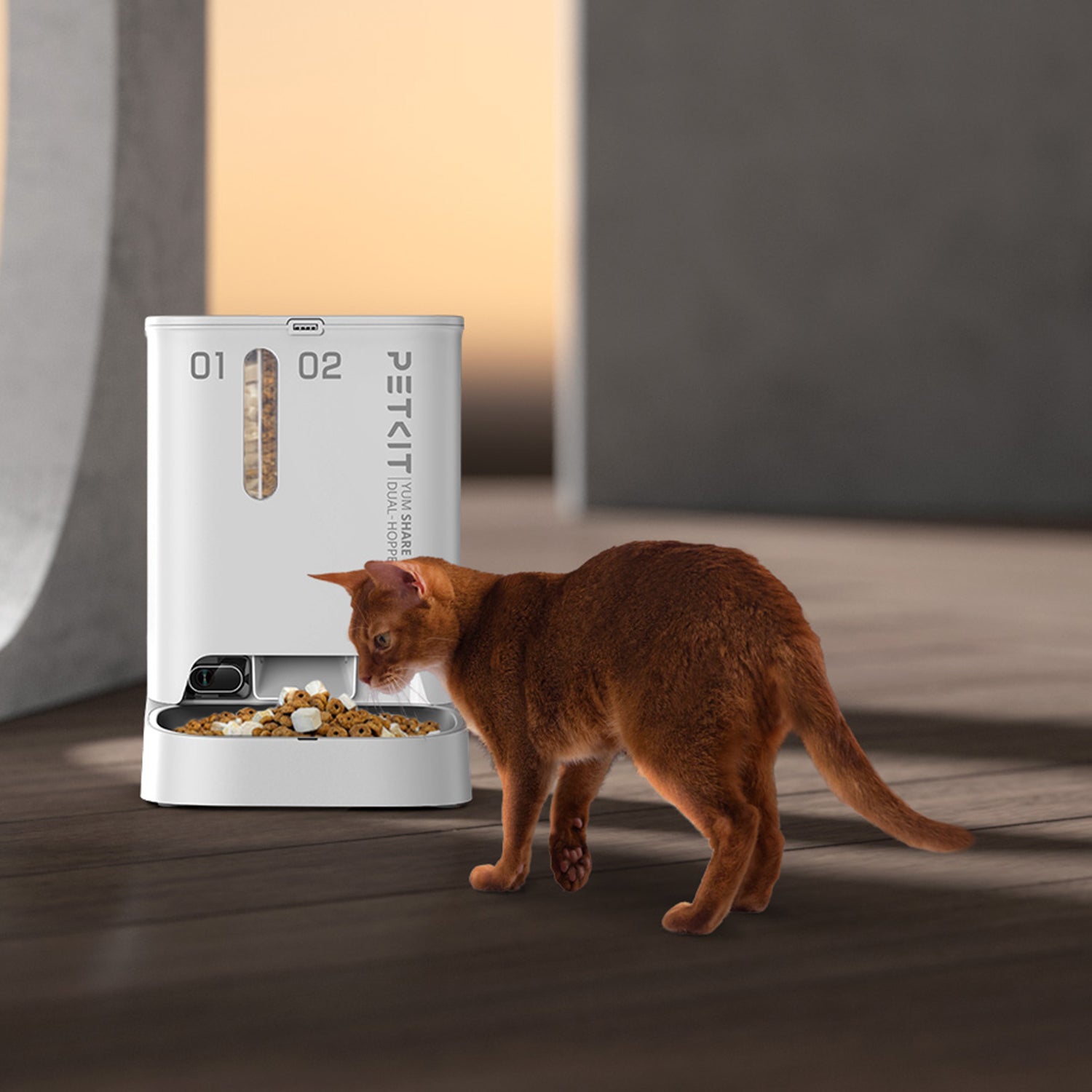 PETKIT YumShare Dual-hopper Automatic Cat Feeder with Camera in a home setting with a cat nearby