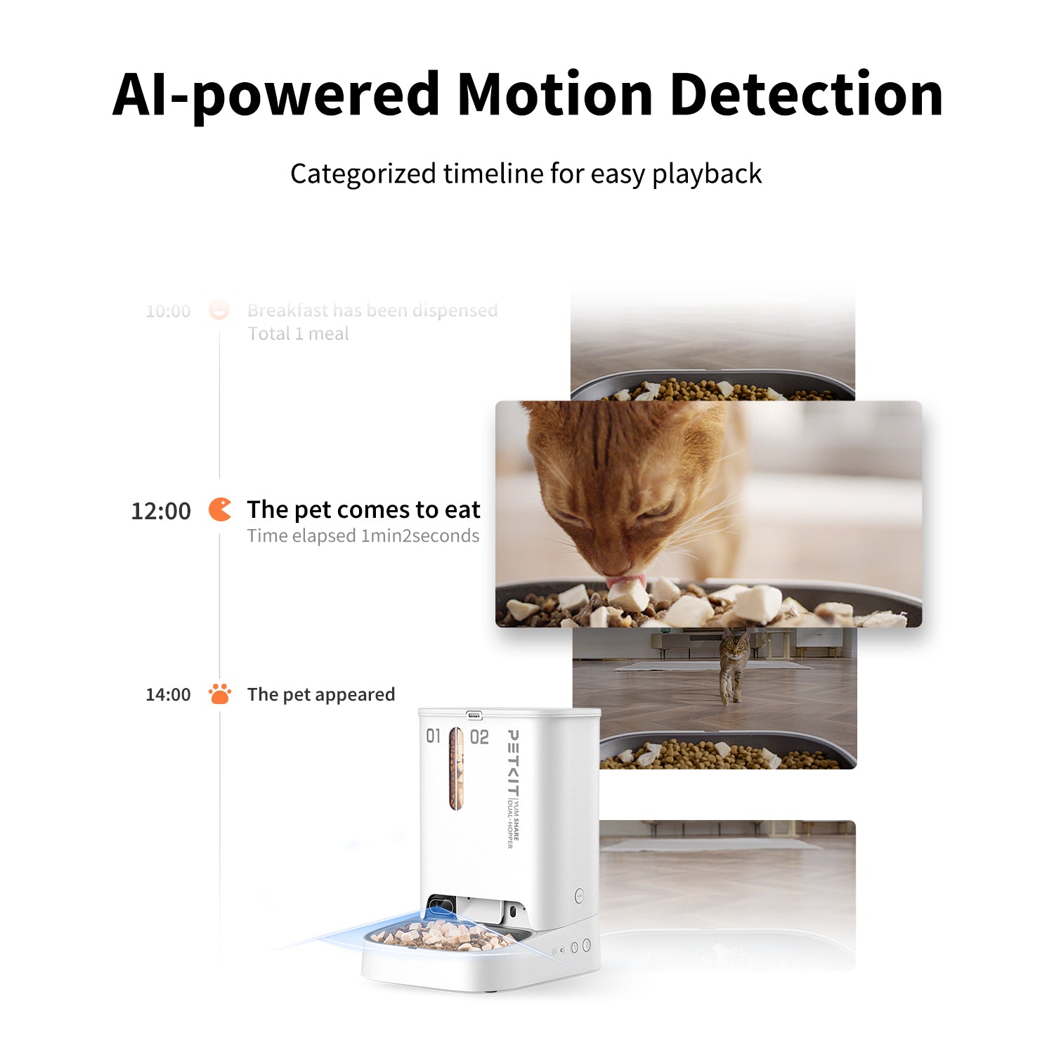 PETKIT YumShare Dual-hopper Automatic Cat Feeder with Camera capturing pet activity with AI-powered motion detection and categorized timeline