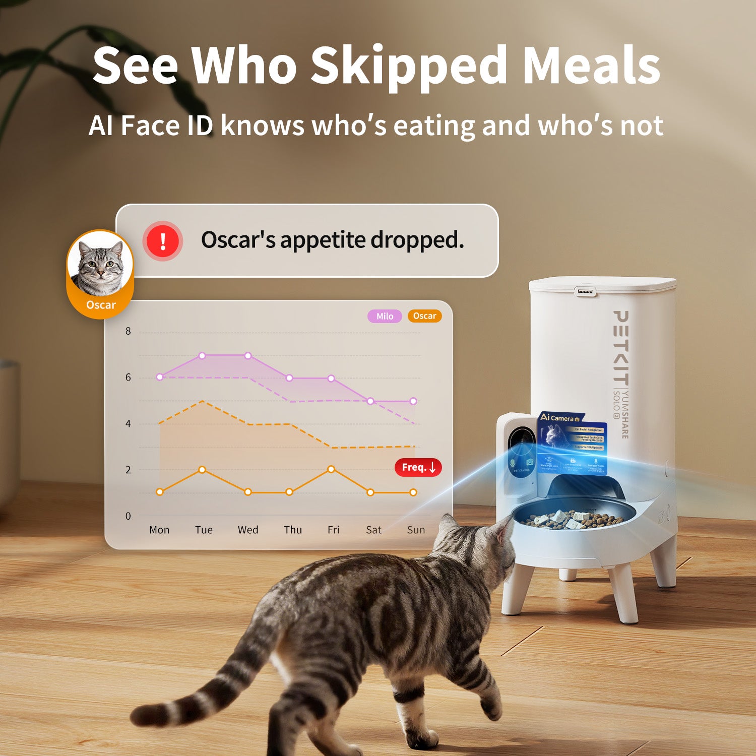 YumShare Solo 2 automatic cat feeder using facial recognition to identify multiple pets and monitor individual eating habits