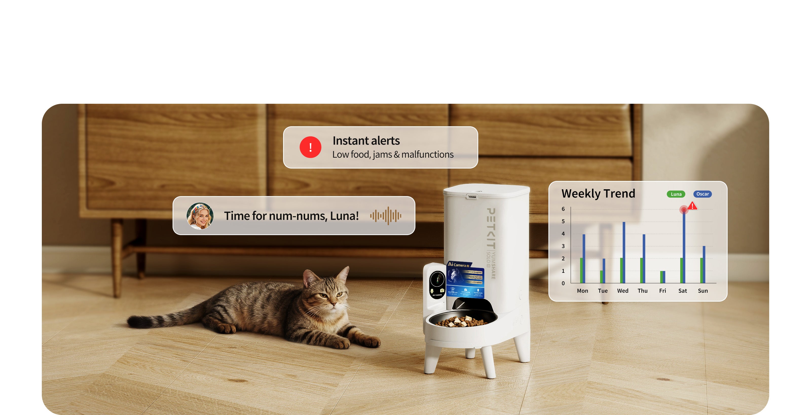 YumShare Solo 2 automatic cat feeder app providing alerts, feeding history, intake tracking, and custom voice call features