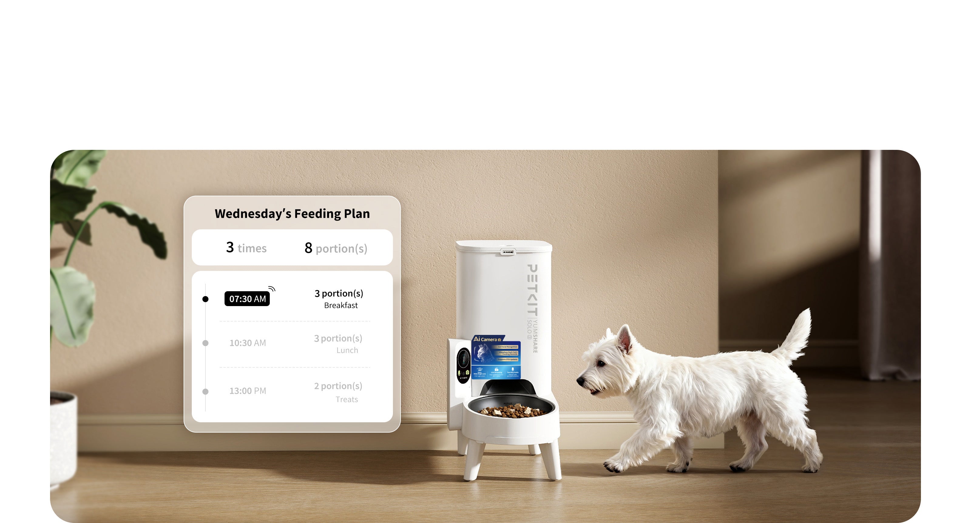 YumShare Solo 2 automatic cat feeder delivering scheduled meals with precise portions for consistent daily feeding