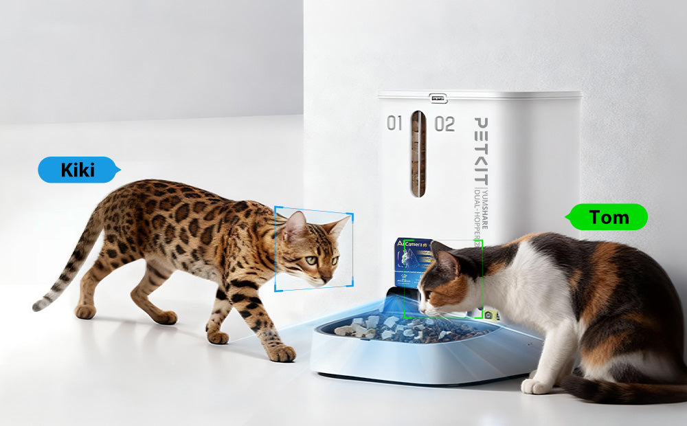 YumShare Dual-hopper 2 Automatic Feeder with AI Camera