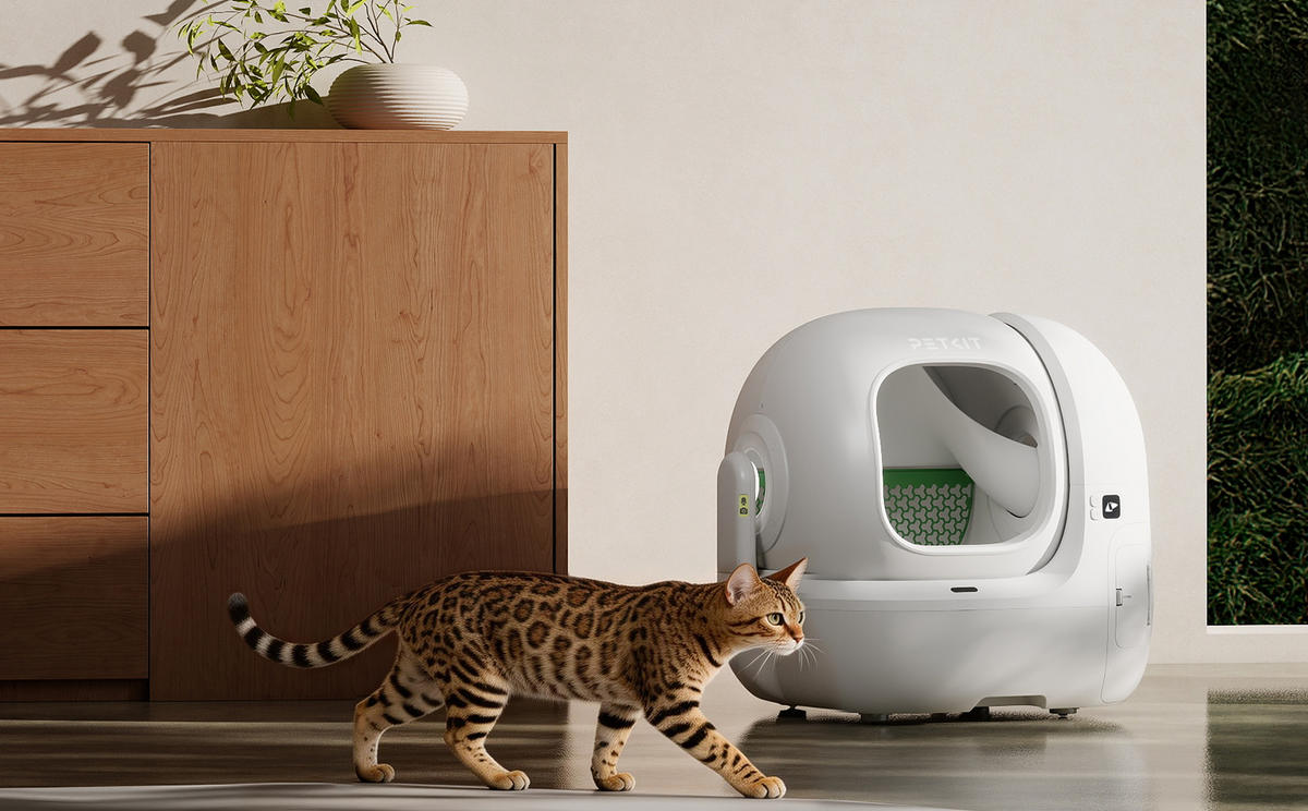 A cat pooping outside an automatic litter box instead of using it, illustrating common causes of litter box avoidance and how PETKIT Purobot Max Pro 2 supports health monitoring and prevention.