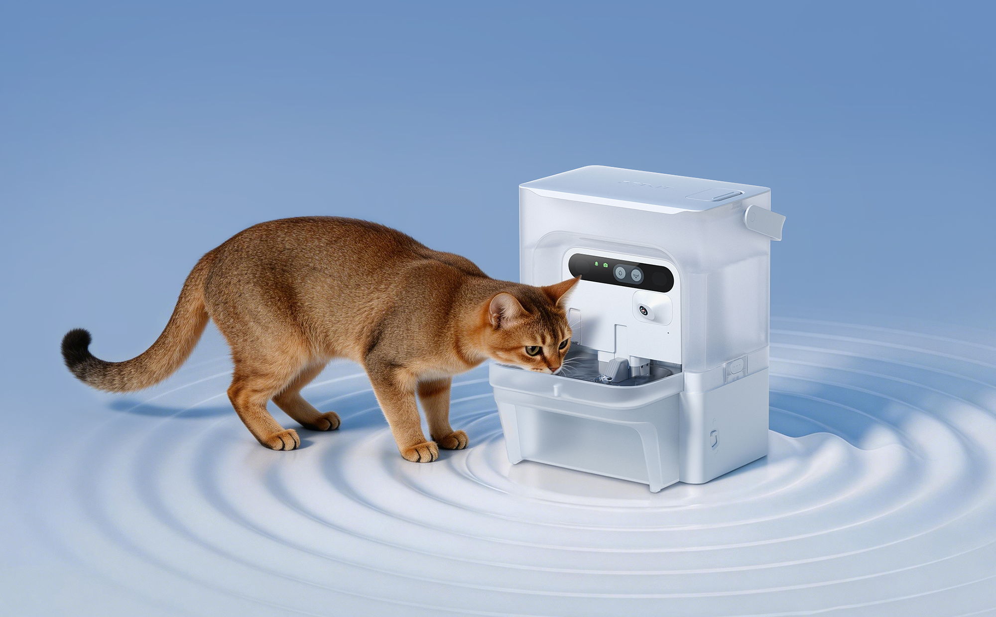 A cat drinking from PETKIT EverSweet Ultra water fountain, featuring stainless steel tray and  One Way Mechanism to help prevent feline chin acne