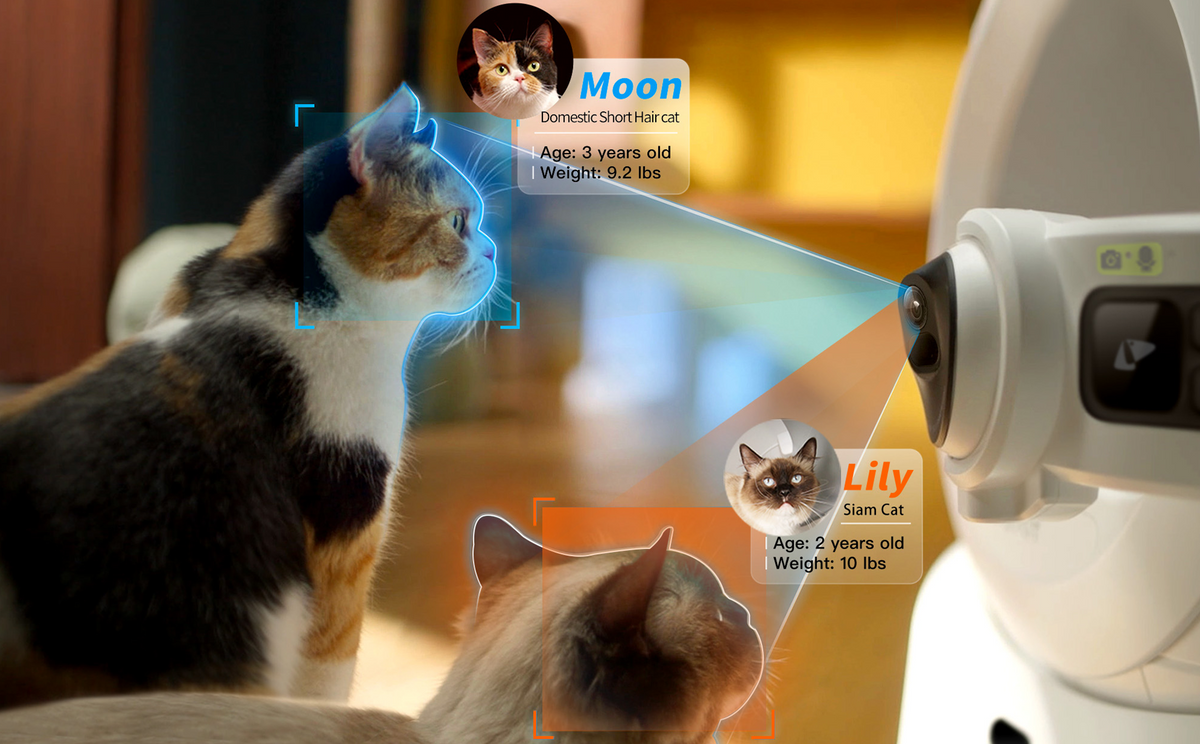How to Choose the Best Automatic Litter Box for Multi-Cat Households: