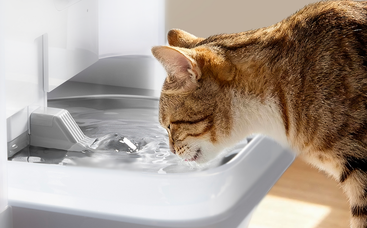 Smart cat water fountain with water circulation and intelligent drinking habit tracking