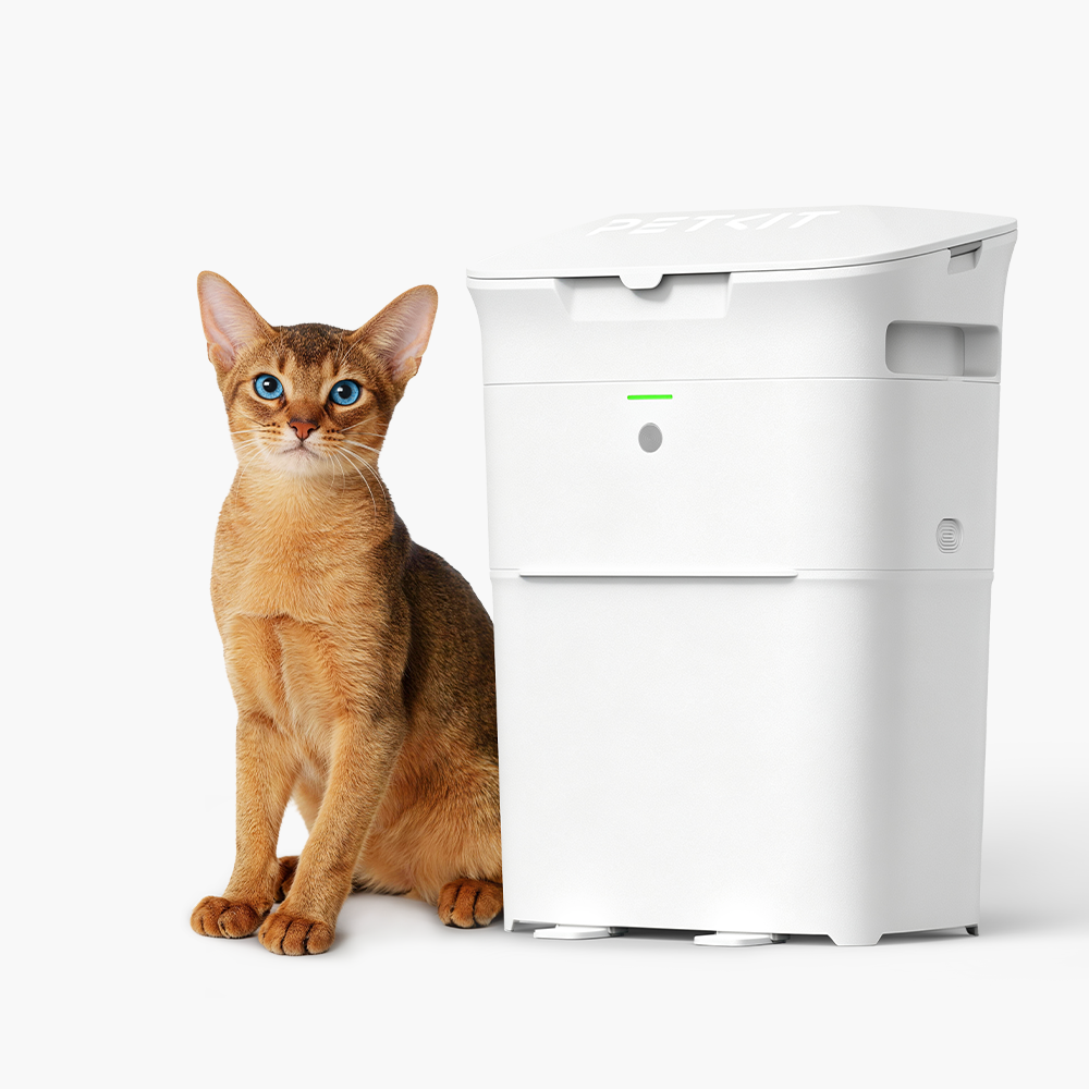 Cat Litter Disposal System