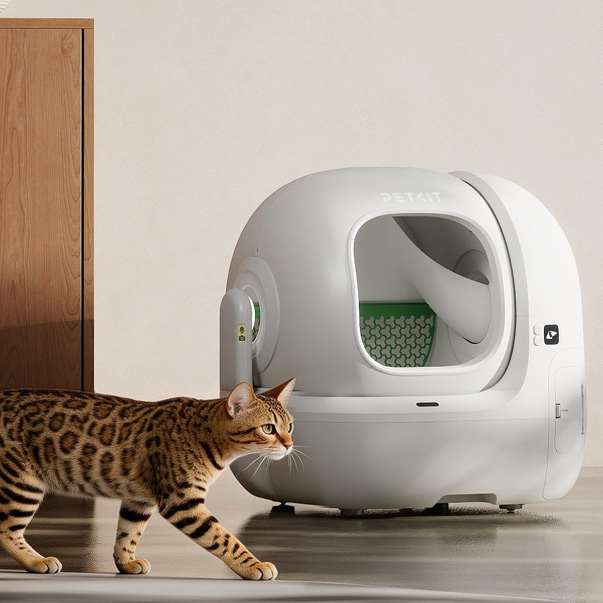 A cat walks past the Purobot Max Pro with AI Camera cat litter box.