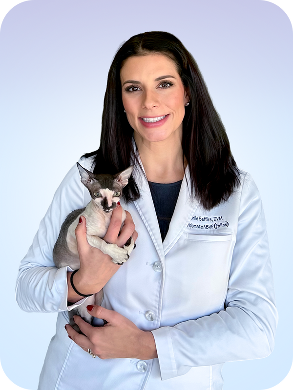 Dr. Ashlie Saffire, DVM, DABVP (Feline)