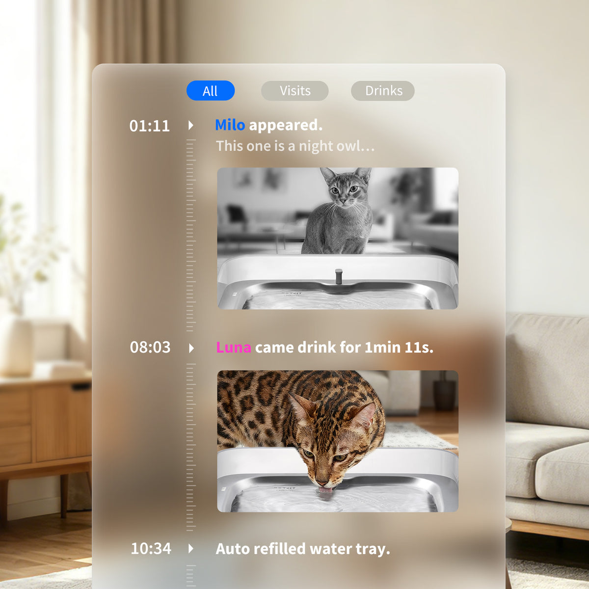 PETKIT App showing visual history of each pet’s drinking activity, including visit times, duration, and consumption, with smart tabs for quick navigation