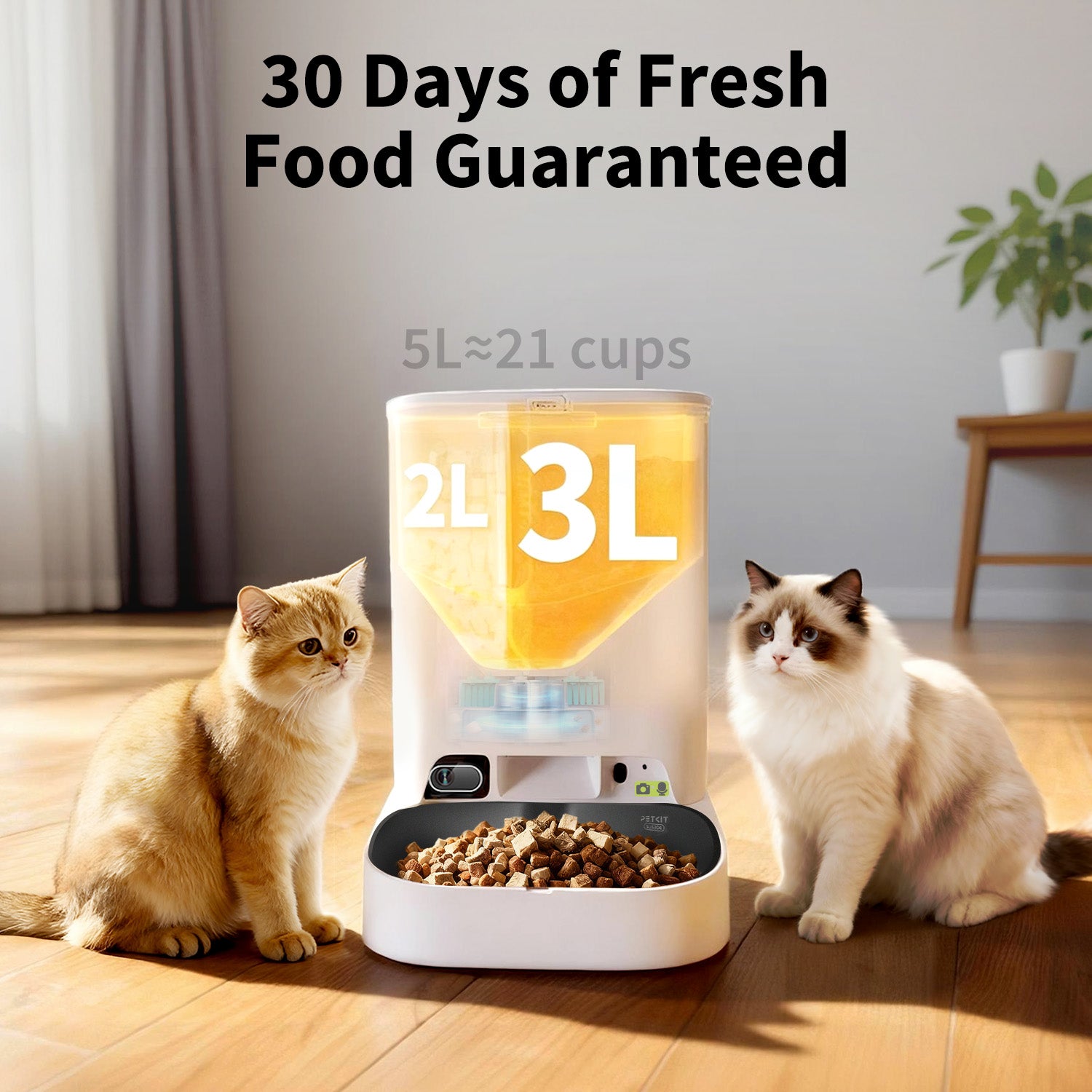 YumShare Dual-hopper 2 Automatic Feeder with Cat Recognition YumShare Dual-hopper 2 Automatic Feeder with Cat Recognition