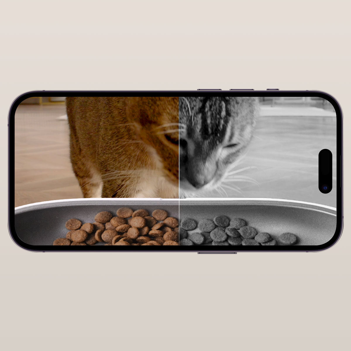 YumShare Dual-Hopper Automatic Cat Feeder with Camera