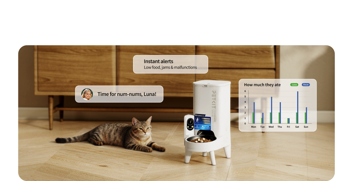 YumShare Solo 2 automatic cat feeder app providing alerts, feeding history, intake tracking, and custom voice call features