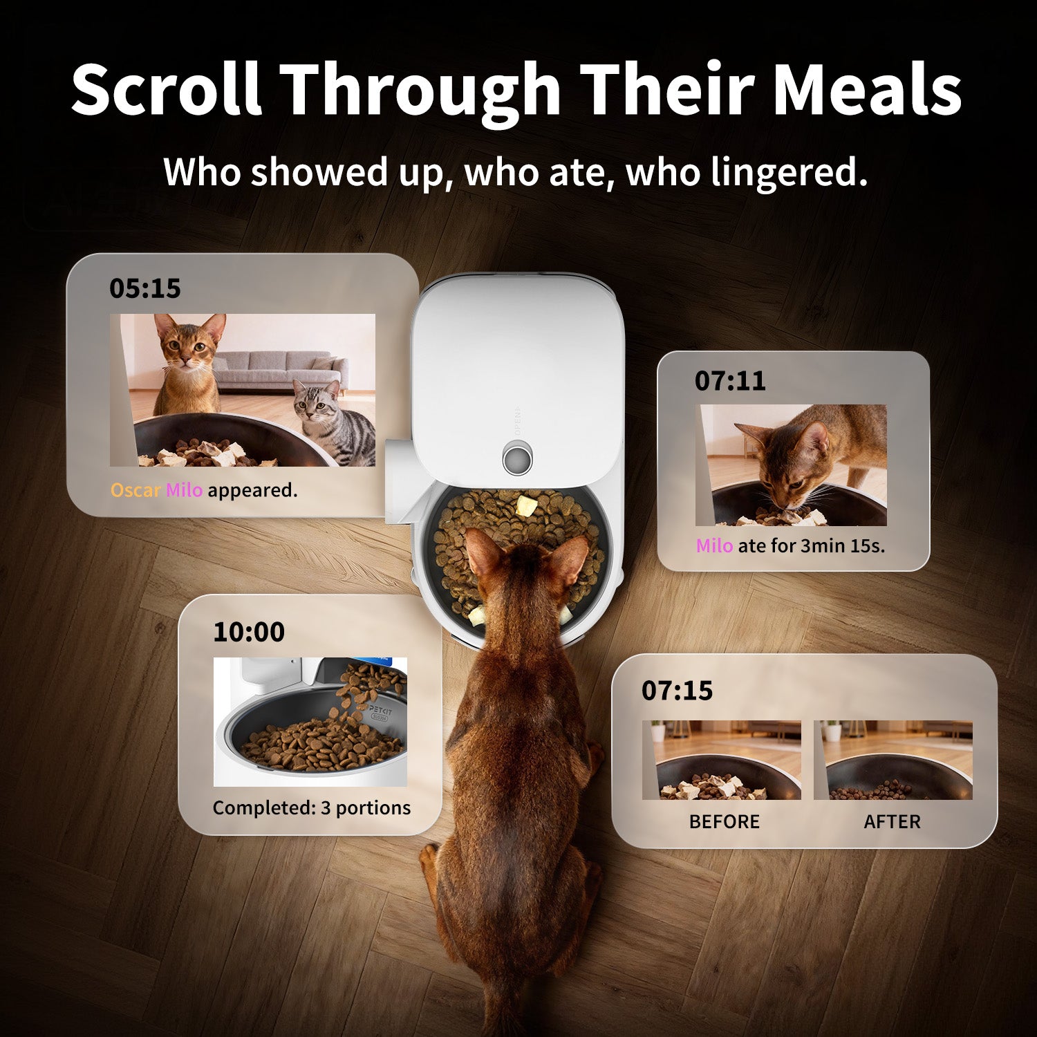 YumShare Solo 2 automatic cat feeder with app timeline tracking pet visits, meals, and feeding activity history