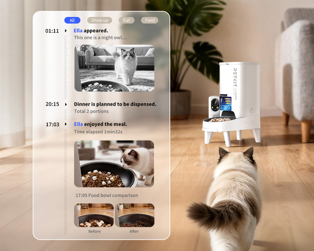 YumShare Solo 2 automatic cat feeder tracking every meal with visual timeline of pet visits and feeding behavior