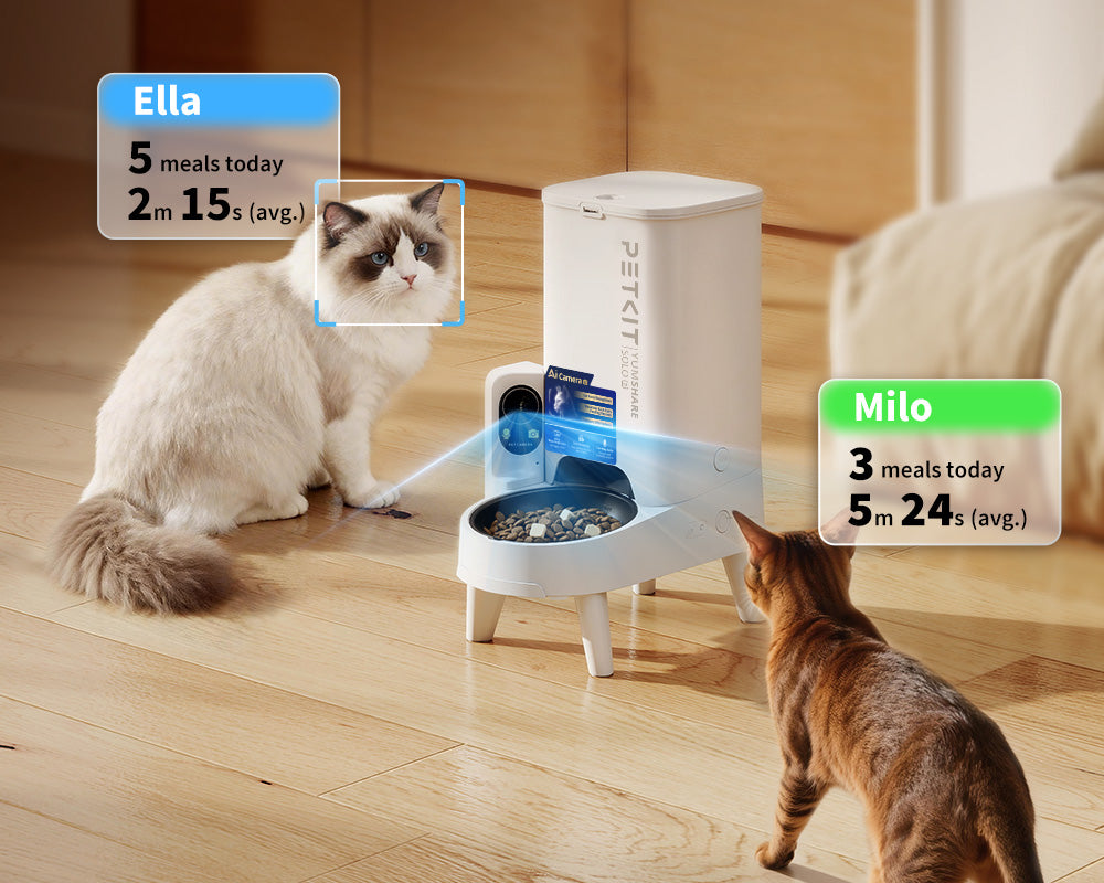 YumShare Solo 2 automatic cat feeder recognizing each pet individually and tracking separate feeding habits
