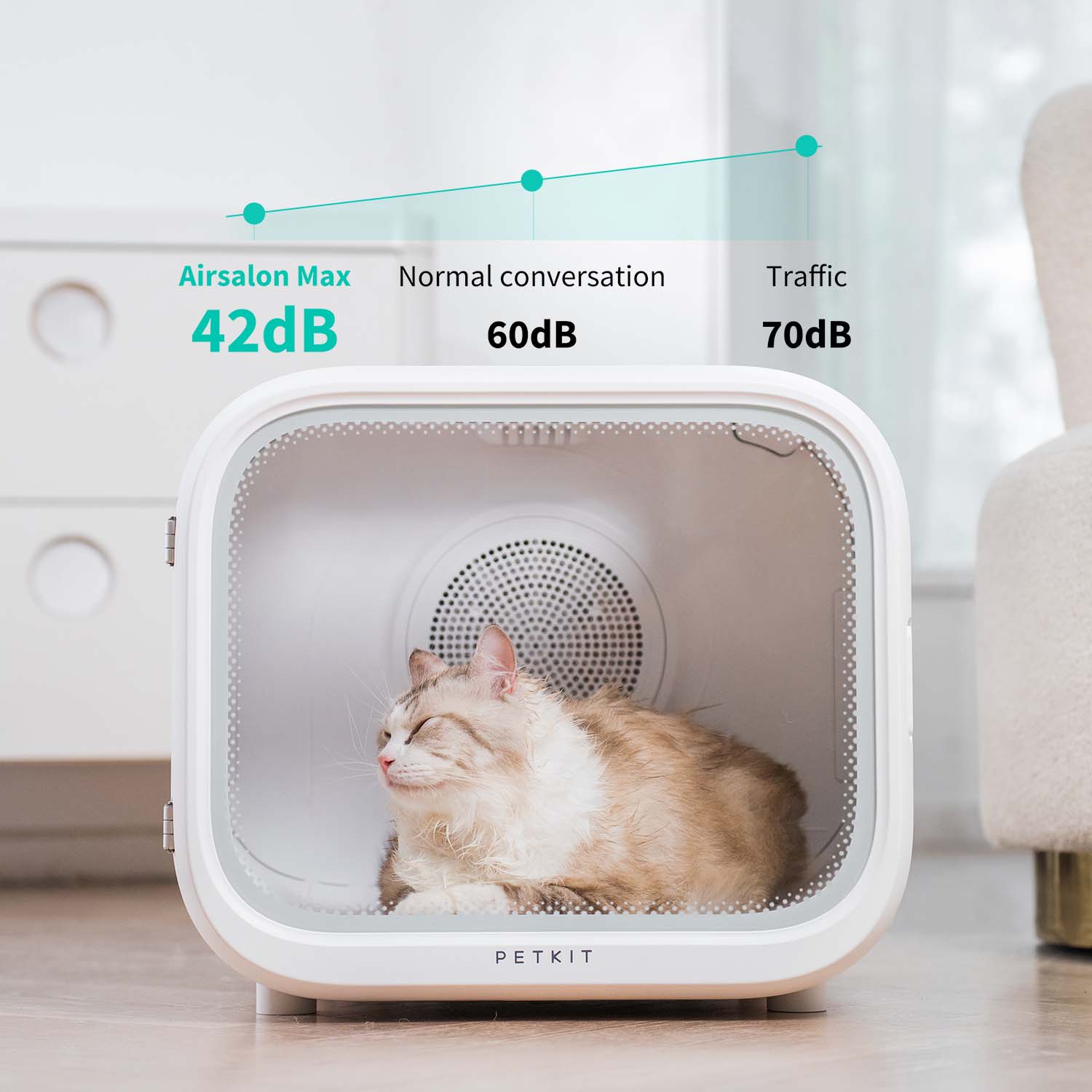 PETKIT AirSalon Max 60L Automatic Pet Hair Drying Box for Cat