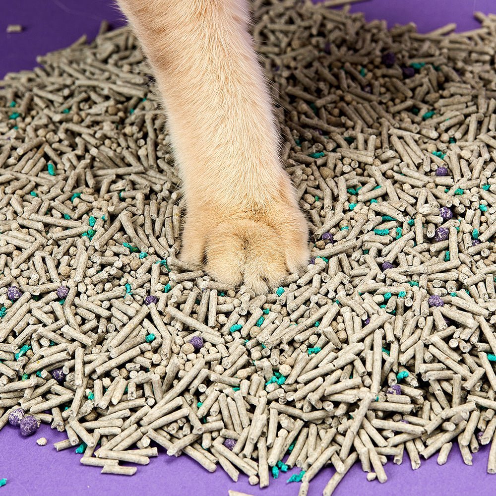 cat litter potting mix PETKIT Tofu Based Flushable Clumping Cat Litters 16lb