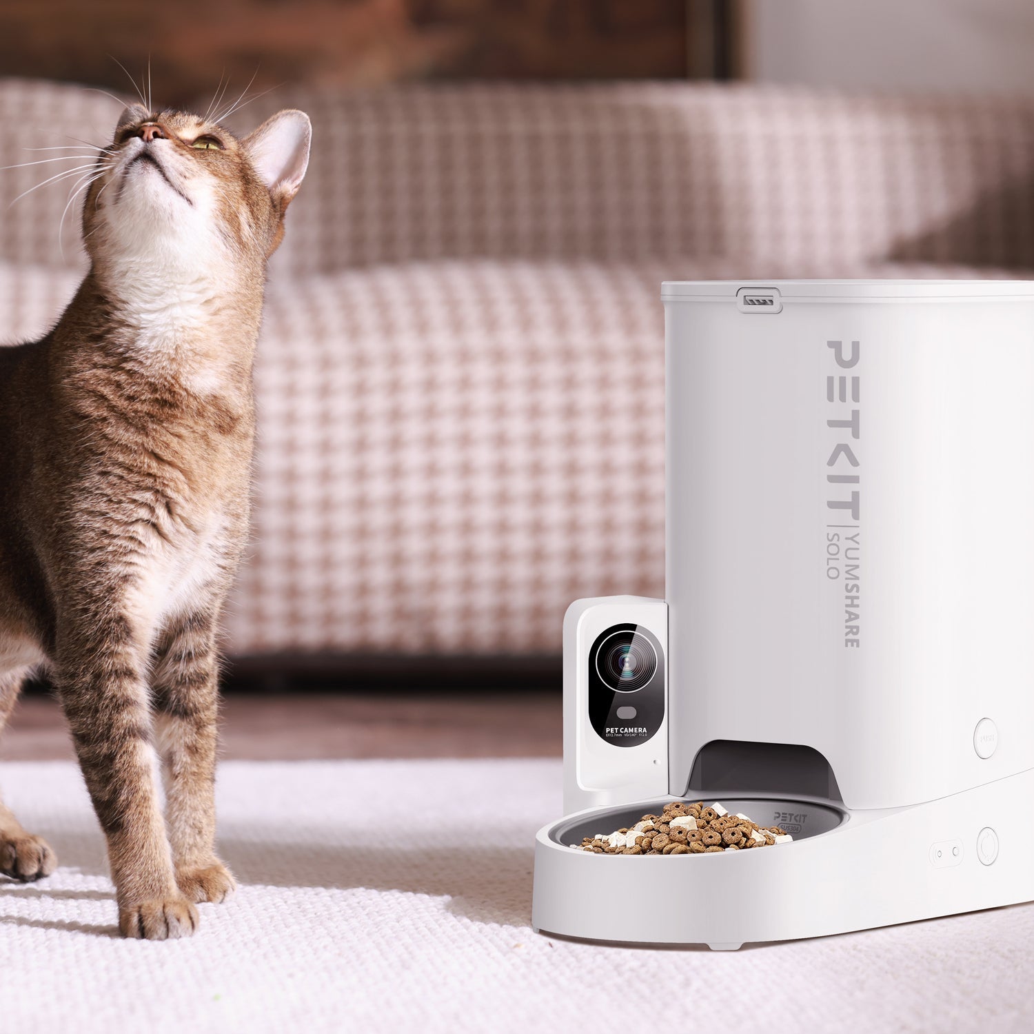 PETKIT YumShare Solo with camera automatic cat feeder in a home setting with a cat nearby